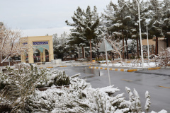 تصاویر دانشگاه