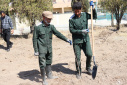 مراسم روز درختکاری در دانشگاه صنعتی بیرجند برگزاری شد