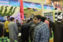 نمایشگاه «رویش و حرکت» در دانشگاه صنعتی بیرجند افتتاح شد