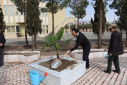 مراسم روز درختکاری در دانشگاه صنعتی بیرجند برگزار گردید