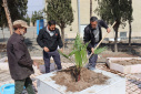 مراسم روز درختکاری در دانشگاه صنعتی بیرجند برگزار گردید