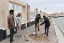 آیین روز درختکاری در دانشگاه صنعتی بیرجند برگزار شد