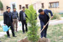 غرس ۱۰۰ اصله نهال در دانشگاه صنعتی بیرجند به مناسبت هفته منابع طبیعی و درختکاری