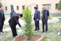 غرس ۱۰۰ اصله نهال در دانشگاه صنعتی بیرجند به مناسبت هفته منابع طبیعی و درختکاری