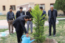غرس ۱۰۰ اصله نهال در دانشگاه صنعتی بیرجند به مناسبت هفته منابع طبیعی و درختکاری