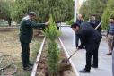 غرس ۱۰۰ اصله نهال در دانشگاه صنعتی بیرجند به مناسبت هفته منابع طبیعی و درختکاری