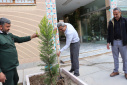 غرس ۱۰۰ اصله نهال در دانشگاه صنعتی بیرجند به مناسبت هفته منابع طبیعی و درختکاری