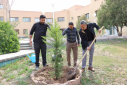 غرس ۱۰۰ اصله نهال در دانشگاه صنعتی بیرجند به مناسبت هفته منابع طبیعی و درختکاری