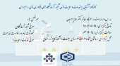 کارگاه آشنایی با خدمات و حمایت های شبکه آزمایشگاه های فناوری های راهبردی