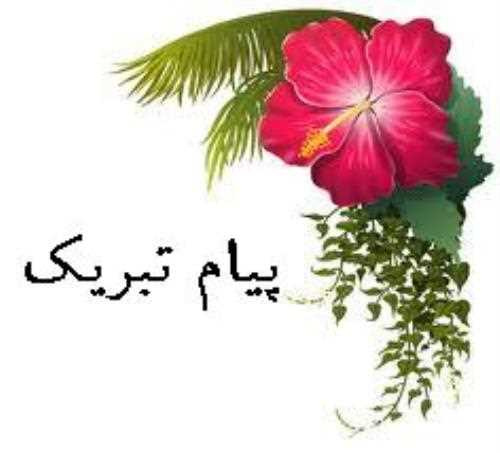 پیام تبریک شورای صنفی مرکزی کارکنان دانشگاه صنعتی بیرجند به دکتر رضاپور به جهت انتخاب ایشان به عنوان رئیس برگزیده در میان رؤسای دانشگاه‌های تابعه وزارت علوم، تحقیقات و فناوری